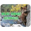 Blue Ridge Georgia with Bear Cub Fridge Magnet