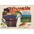 ZAYIX Postcard Wisconsin America's Dairyland St...