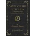 Agnes and the Little Key: Or Bereaved Parents I...