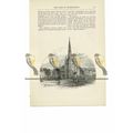 St Martin's Church, Birmingham, Warks, Book Ill...