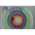 A3-BLUES PROJECT-EASY LADY/CRAZY GIRL-US 7" SIN...