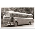 Black & White Photograph of Wilts & Dorset Moto...
