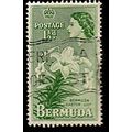 Bermuda 1953 Queen Elizabeth II 1 1/2d Used Sta...