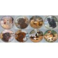 Lot of 8x Dogs Puppies Decorative Collector Plates