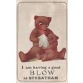 Teddy Bear Cold at Streatham South London Antiq...