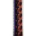 VAMPIRES. Pk MTP - b042p . 1 STRIP OF 5 - 35MM ...