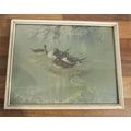 1950 Vintage Framed Print VERNON WARD Pintail D...