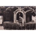 Pau Femme au Puits France Picture card 8.5 x 6c...
