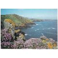 Skomer, Pembrokeshire - springtime - postcard c...