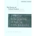 The The Practice Of Cultural Analysis