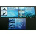 Malaysia Endangered Marine Life 2015 Whale Ceta...