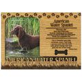American Water Spaniel Engraved Wood Picture Fr...