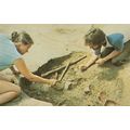 Medieval 1629 Tools Artifacts Discovery Carters...