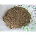 5 LB Green Unroasted Coffee Beans Costa Rica Fu...