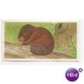 1990 Brooke Bond Tea card A Journey Downstream ...