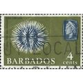 BARBADOS, SEA LIFE, Sea Urchin, green 1965, 4c, #4