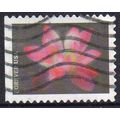 USA 2021 Garden Flowers - Pink Sacred Lotus For...