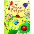 Wind-Up Ladybird