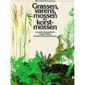 Grassen Varens Mossen En Korstmossen