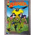 BADGER # 47 (1989) FIRST COMICS (VFN Condition)