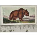 Neilson's Interesting Animals card No. 1 Brown ...