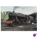 Railway Postcard LMS 8F 8233 BRIDGNORTH SHED 19...