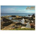 Scottish borders, St.Abbs Berwickshire Scenic P...
