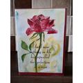 Valentine's Card - 006