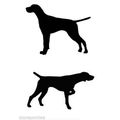 English or German Shorthair Pointer Dog Decal B...