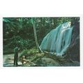 Jamaican Waterfall Jamaica Postcard 81044