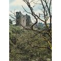Ruines de Chateau Branzac France Postcard poste...