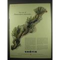 1956 Shell Endrin Ad - Case of Thaumetopoea Pit...
