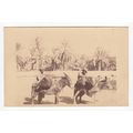 Two Men on Mules or Donkeys Likely Middle East ...