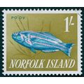 Norfolk Island 1962 1s Surge Wrasse SG45 CTO