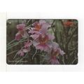 PHONE CARD - SINGAPORE - VANDA MISS JOAQUIM