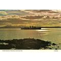 Waverley Excursions PS WAVERLEY Postcard (Denni...