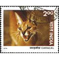 INDIA, CAT, Caracal, orange brown 1976, 2rupee