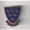 Girl Guide Metal Pin Badge UK - Sussex - Used (...