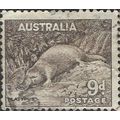 AUSTRALIA, MAMMAL, Duck-billed platypus, brown ...