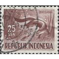INDONESIA, MAMMAL, Smooth-coated otter, violet-...