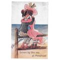 'Down by the sea at Minehaed', 1907 - The Posta...