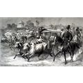 GOING TO THE RACES - AN UP-COUNTRY SCENE IN IND...
