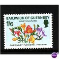 GUERNSEY 1970 HORTICULTURE 1/6 FREESIAS SG 39 G...
