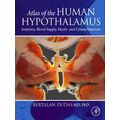 Atlas Of The Human Hypothalamus