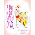 A Day In The Life Of Diva