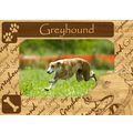 Greyhound w Paws Engraved Wood Picture Frame Ma...