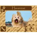 Havanese w Paws Engraved Wood Picture Frame Magnet