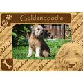 Goldendoodle w Paws Engraved Wood Picture Frame...