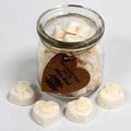 Soywax Melts Jar - White Musk - 16 melts