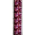 Pulp Fiction. Pk VXM - C071s. 1 STRIP OF 5 - 35...